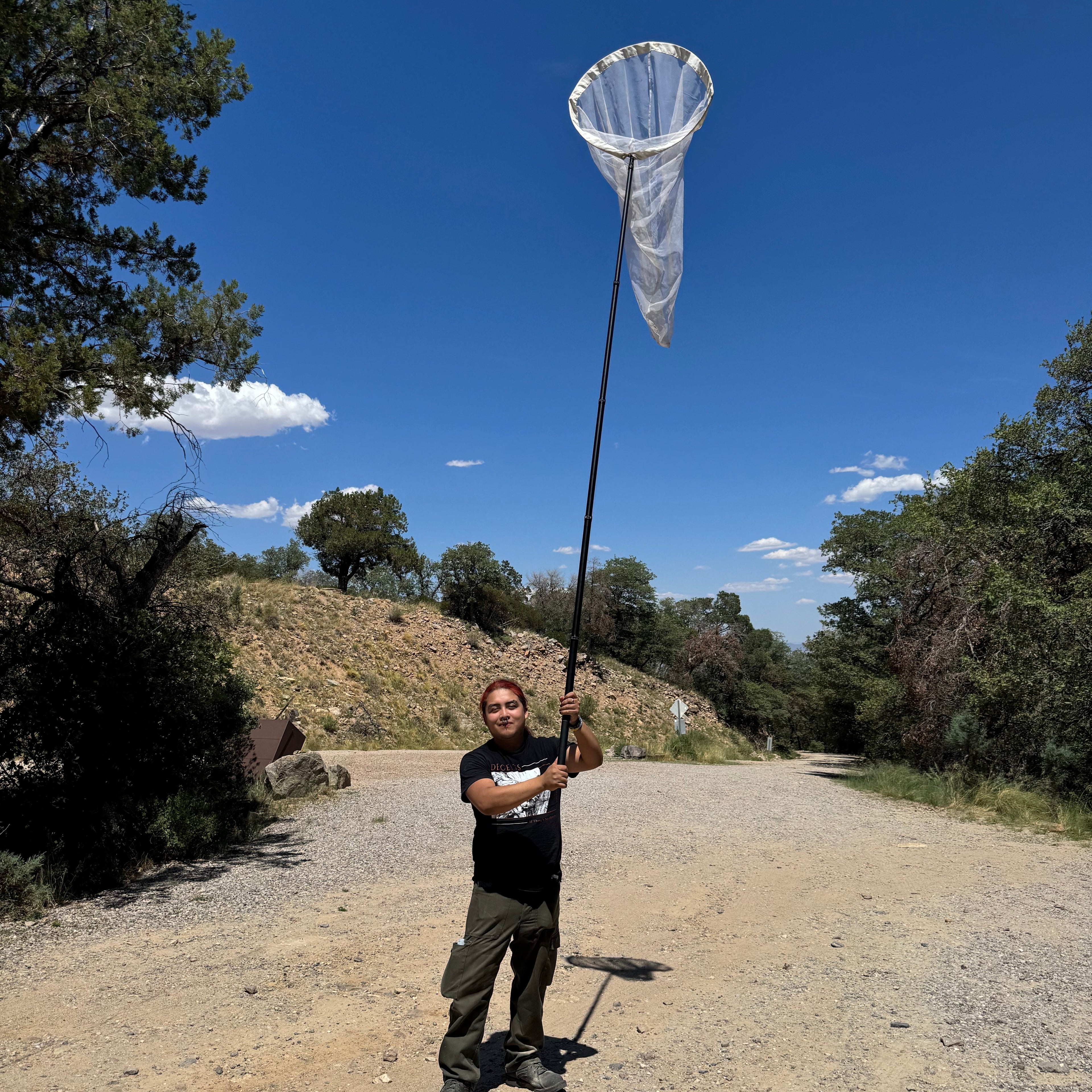 Giant Aerial Insect Net