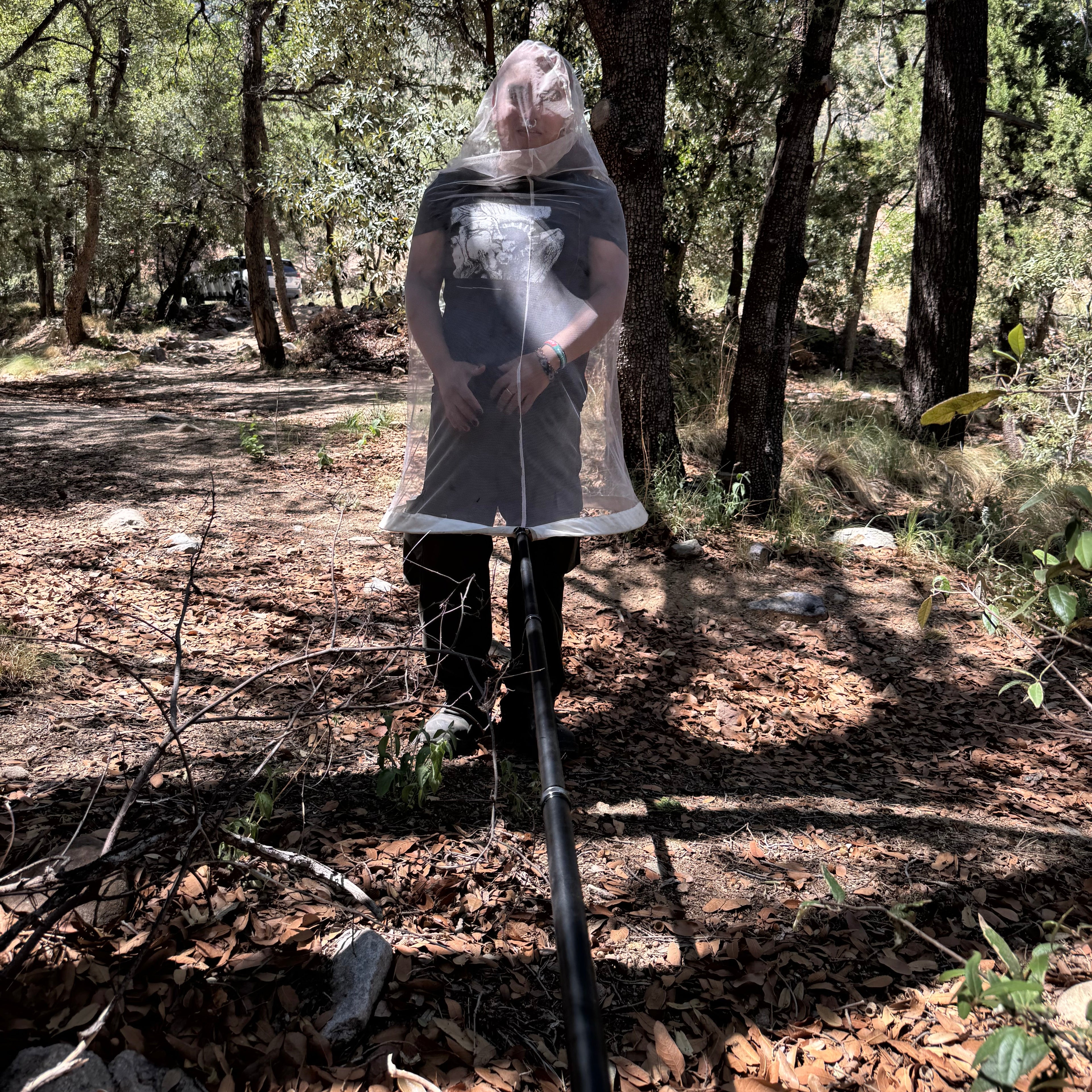 Giant Aerial Insect Net