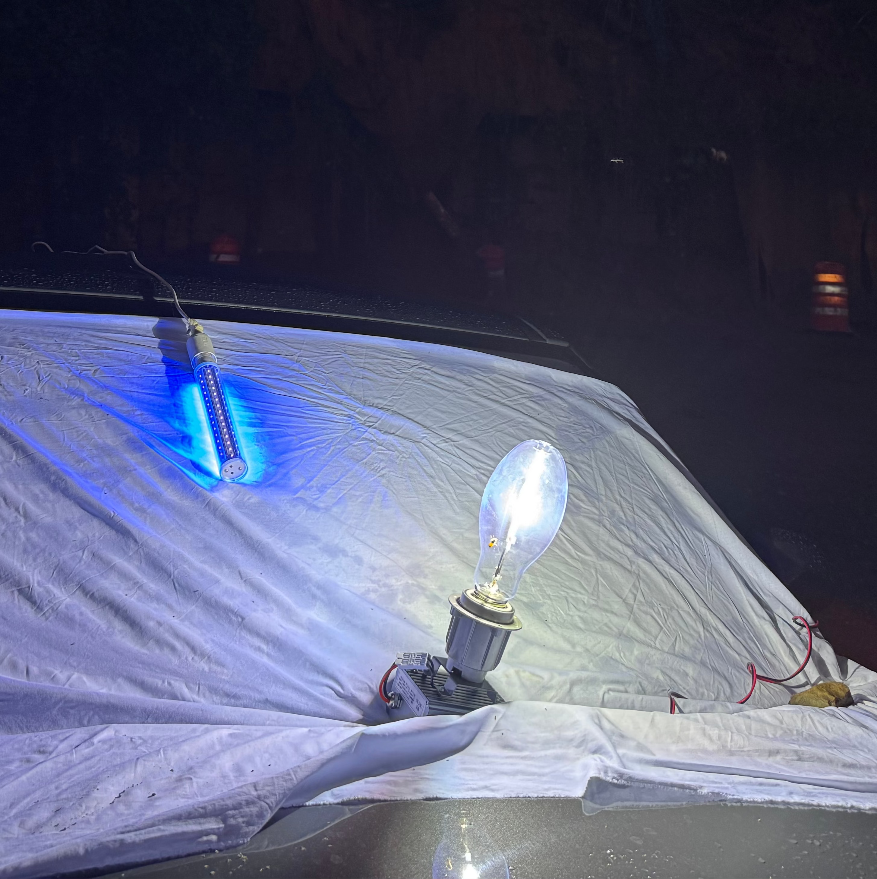 12v DC MV Light Trap with Clamps + Cigarette Lighter plug